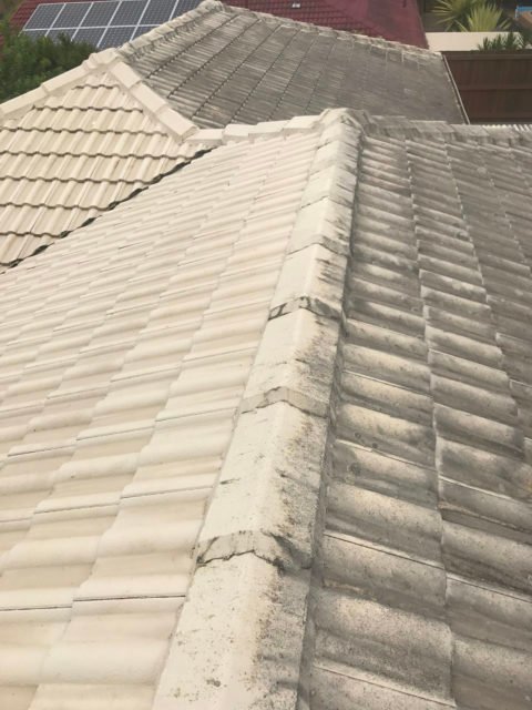 Carrara Pressure Cleaning for Roofs